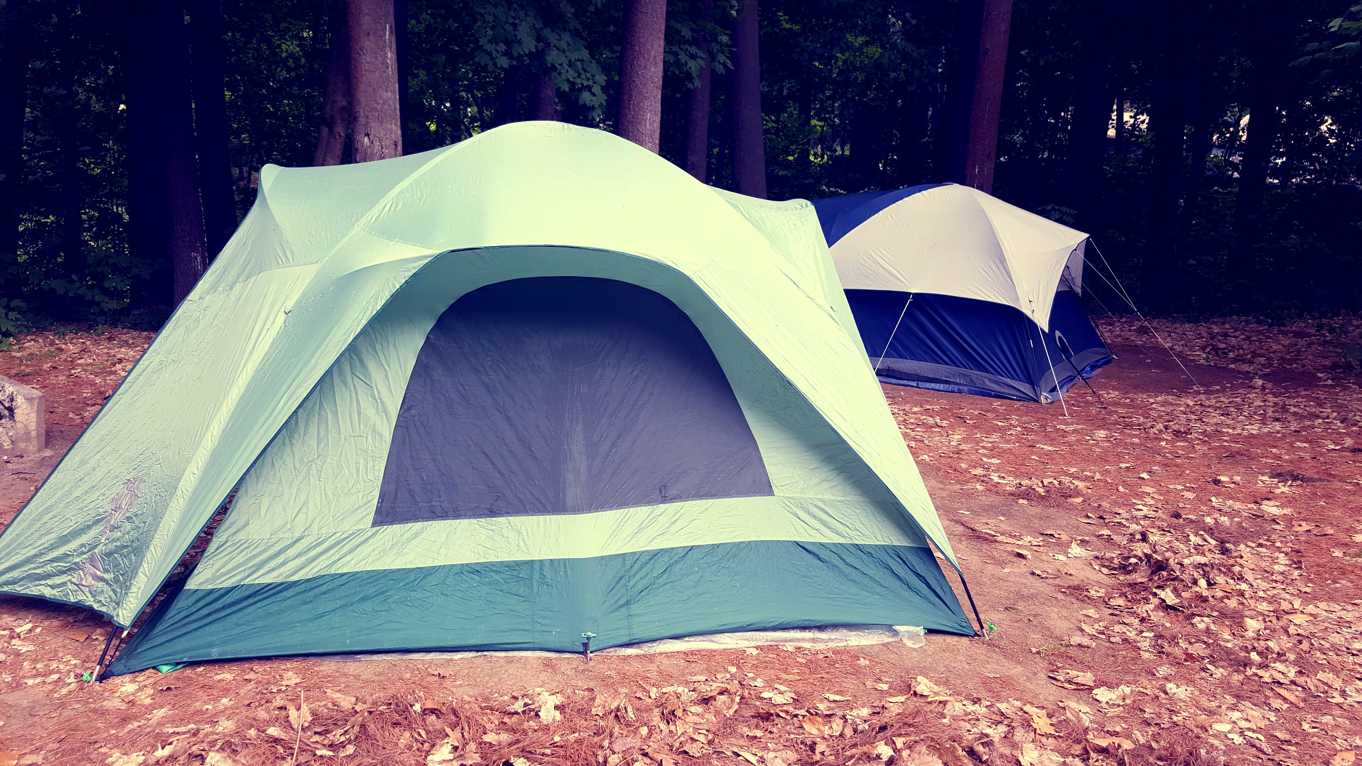 Adventure Awaits at Almost Campout